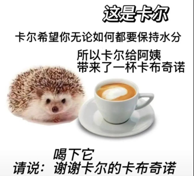 小刺猬卡尔是什么梗7