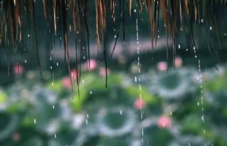 2021年6月是不是梅雨季节1