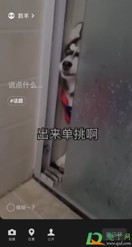 微信状态视频二哈怎么设置8