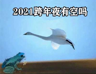 2021跨年夜有空吗天鹅表情包分享无水印2