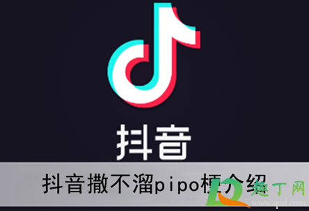 撒不溜pipo什么梗2