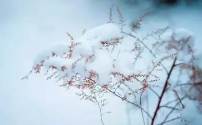 大雪节气晴天好不好2