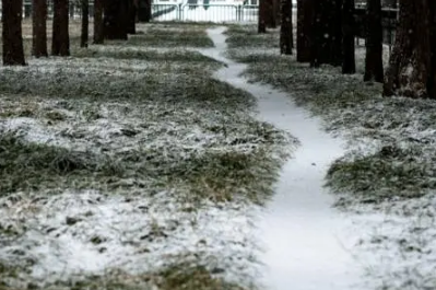 2021年大雪是在冬天第几个节气2