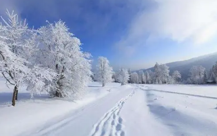 全国现在有哪些地方下雪了11月2