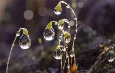 2021立秋后下雨越下越冷吗2