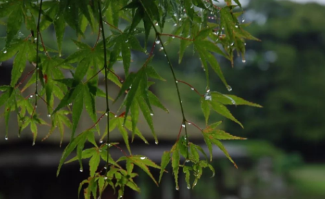 2021年6月是不是梅雨季节2