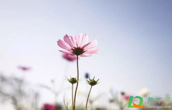 2021年5月份有几天法定节假日1