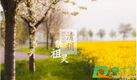 清明节是固定4月4日吗1