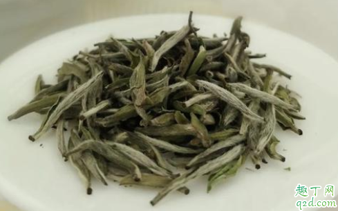 福鼎白茶喝新茶还是陈茶 为什么福鼎白茶喝完舌头麻