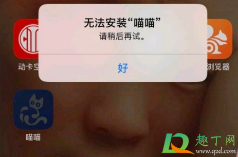 喵喵app养猫赚钱怎么进不去了2