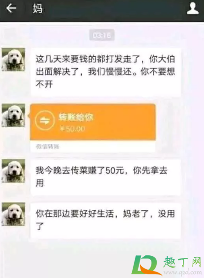 妈宝刀未老你放心去赌表情包图片3