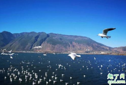 大理游苍山洱海要几天 苍山洱海要不要门票1