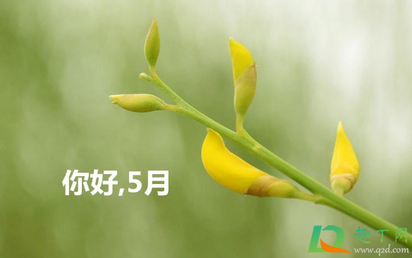 2021年5月份有几天法定节假日2