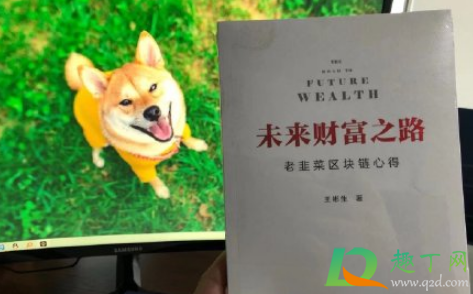 狗狗币现在可以买吗3