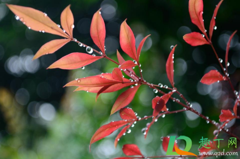 2021年梅雨季节几号出梅2