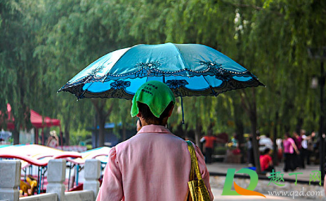 2021年三伏天的雨多吗3