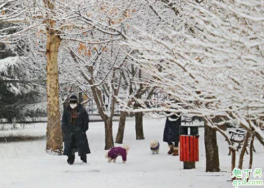 新型冠状病毒在雪里能存活吗 新型冠状病毒在雪里会不会传染1