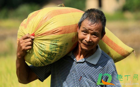 为什么重提节约粮食1