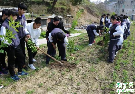 大中小学将设劳动必修课是真的吗 劳动必修课怎么上3