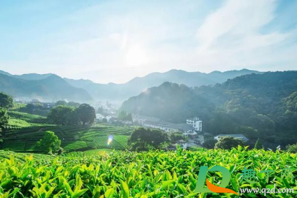 2021清明节当天有雨吗3