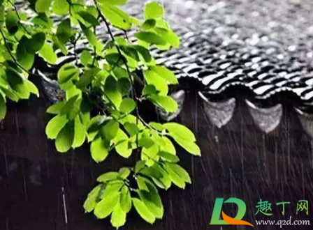 2021梅雨季节是什么时间3