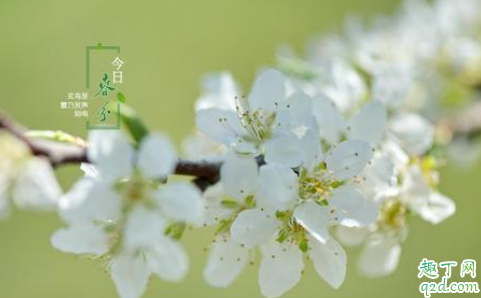 春分下雨是何预兆 春分容易下雨吗4