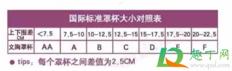 内衣空杯是什么样的4