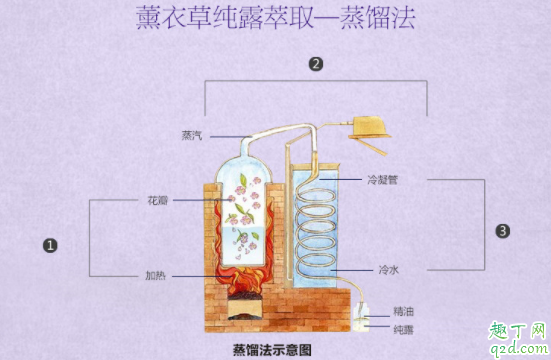 德国o家薰衣草纯露里面有絮是什么 薰衣草纯露可以和其他化妆品同时使用吗