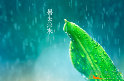 立秋有雨好还是无雨好3