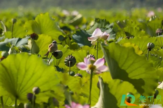 2020年9月份天气怎么样2