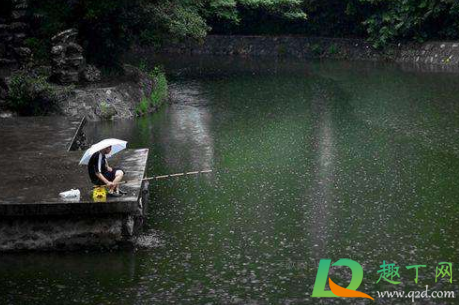 小雨钓鱼鱼口好吗3