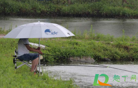 小雨钓鱼鱼口好吗2