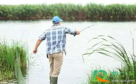 下雨涨水什么钓位最好钓鱼3