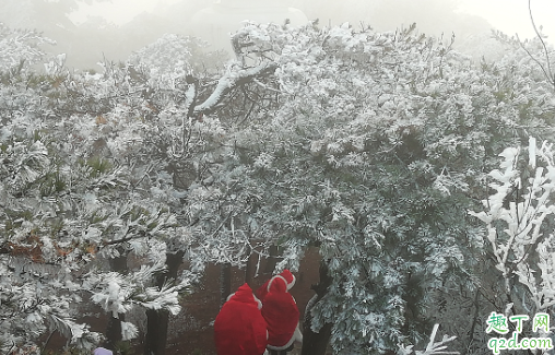 庐山玩两天住在哪里比较方便 庐山什么时候可以开车上山4