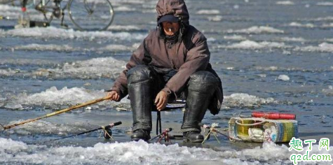 冬季4米水深怎么钓鱼 打窝碎米好还是大米好3