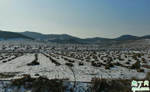 2019大雪过后就冷了吗 大雪不下雪好不好2