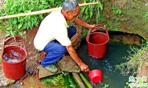 现在养殖小龙虾挖塘时间合适吗 虾塘打井水的最佳时间3