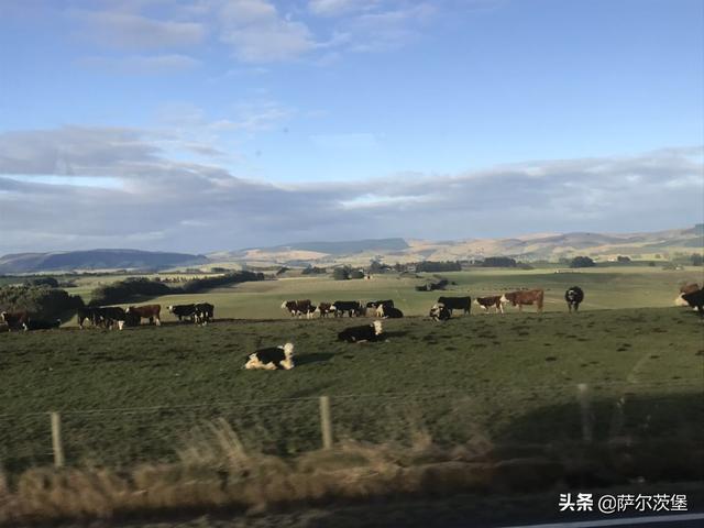 探访全球最宜居住的城市奥克兰