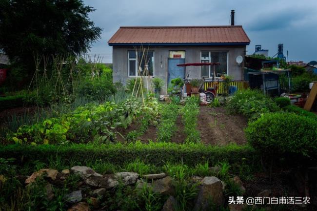 农村宅基地可以买卖吗合法吗（关于农村宅基地的最新政策）