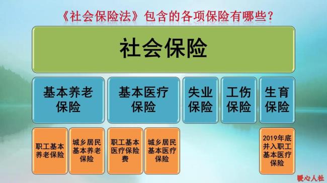 各项社会保险费包括哪些（社保缴费标准）