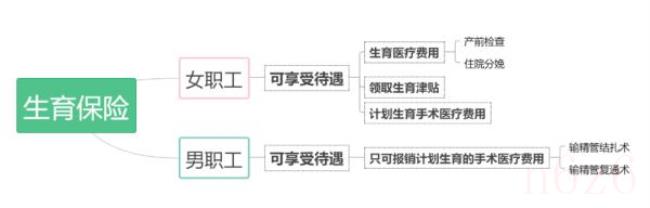 北京生育津贴多久到账（生育津贴领取以及流程）