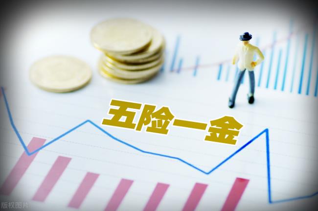 五险一金缴纳比例是多少（企业五险一金缴费标准）