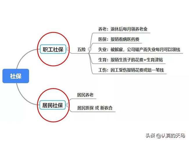 社保卡有什么用（社保卡的好处和用途）