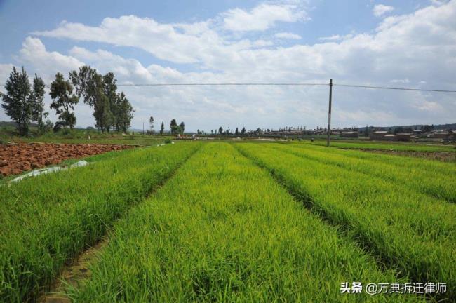 新土地法补偿标准(国家土地赔偿政策)