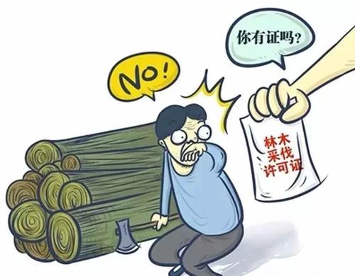 滥伐林木罪怎么处罚（最新的滥伐林木行政处罚标准）