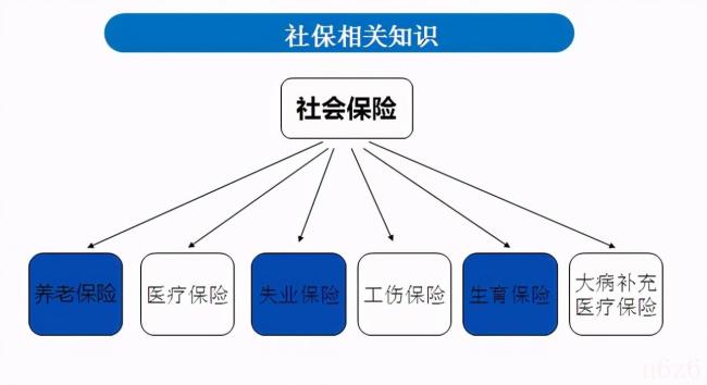 社保是不是就是五险怎么买（社保和五险的区别）