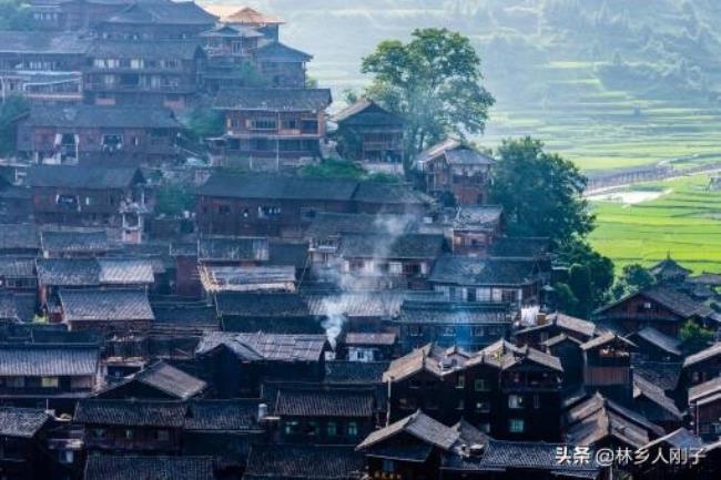 土地承包贷款需要什么（最新农村土地承包合同）