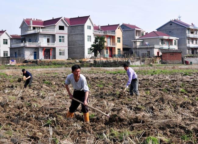 农村土地法规定是什么（土地承包法实施细则全文）