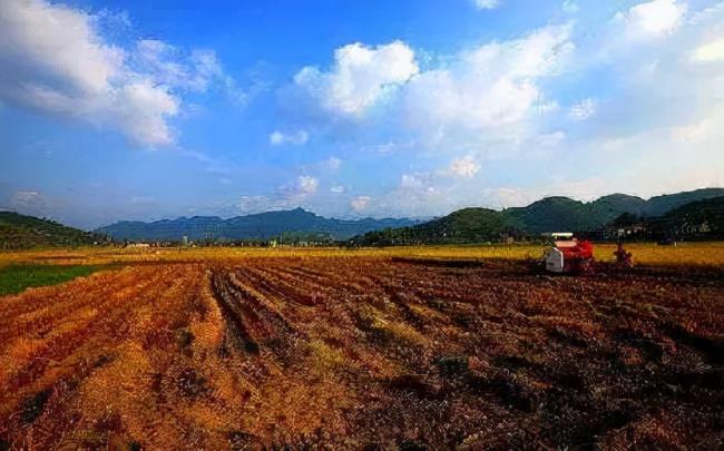 新农村建设征地补偿多少（新农村建设房屋补偿国家规定）