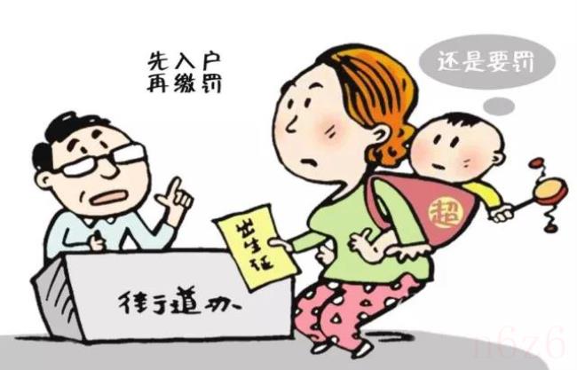 什么叫社会抚养费有用吗（社会抚养费退回政策）